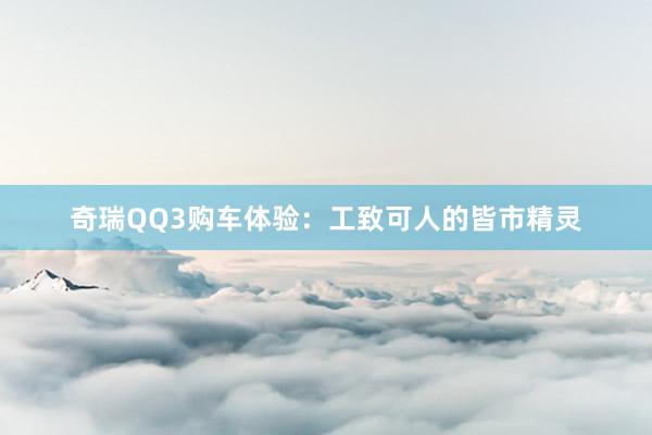 奇瑞QQ3购车体验：工致可人的皆市精灵